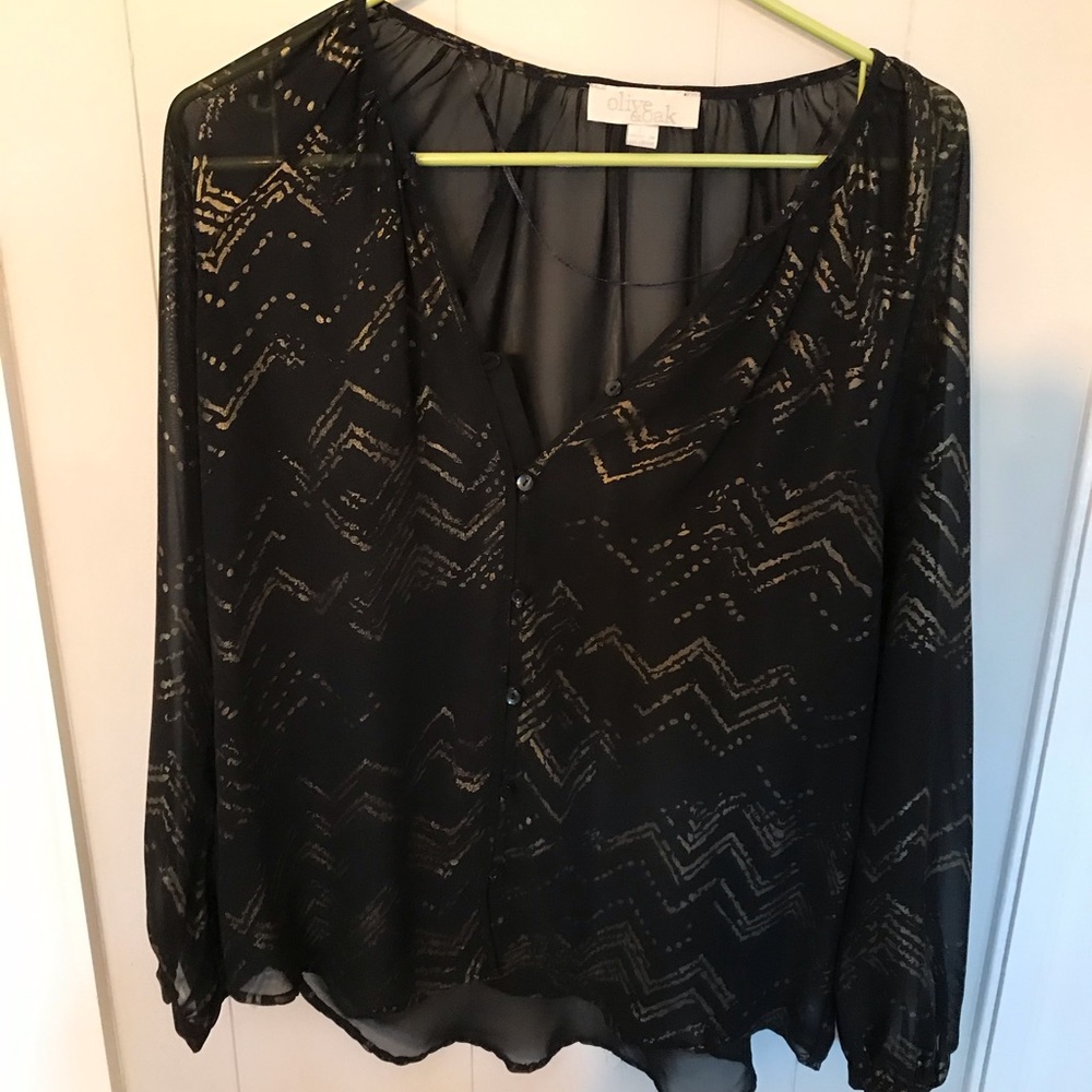 Sheer Blouse